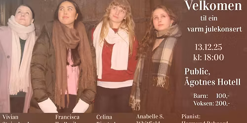 Stjernesludd og stjerneskudd i ei vinternatt