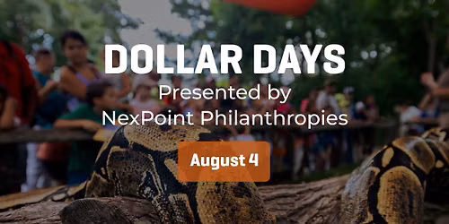 Dollar Days Presented by NexPoint Philanthropies
