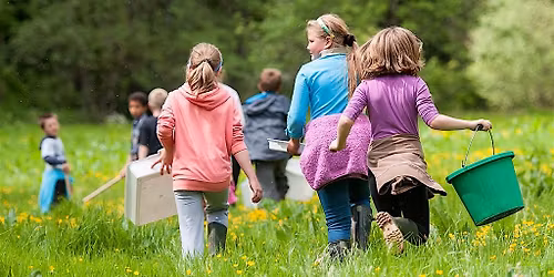Incredible Insects - Family Event at Green Lane Woods