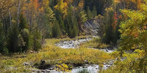 Black Canadian Hikers: Final Fall Hike of 2025 at Rouge National Urban Park