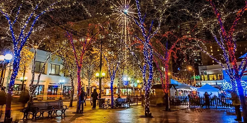ASTA Greater Seattle Holiday Showcase - 2025