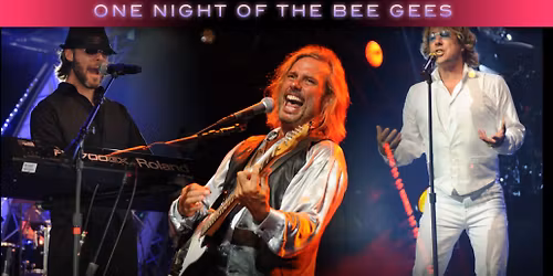 Stayin' Alive - One Night of the Bee Gees