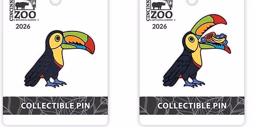 Pin Trading Meetup