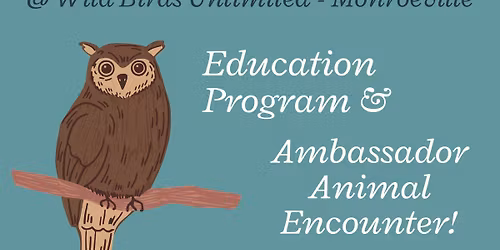 Owls Presentation by The National Aviary