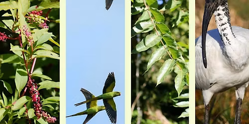 T\u00e8 con la scienza: Alieni in casa nostra, minaccia o alibi?