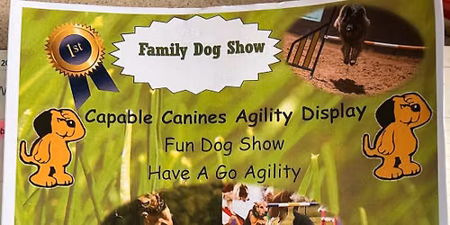Dog show 