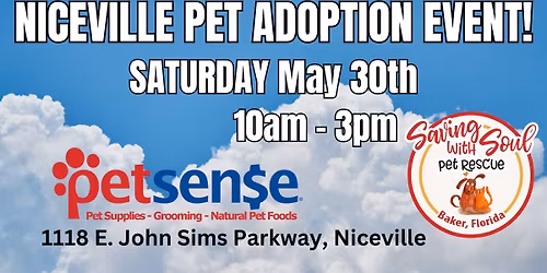 Niceville Pet Adoption Event!