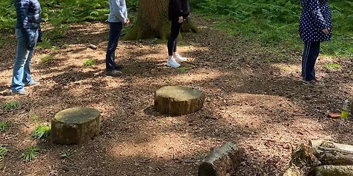 Nature Connection: A Forest Bathing Experience