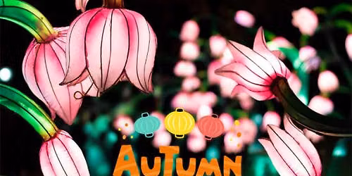 Autumn Glow Festival - New Rochelle, NY