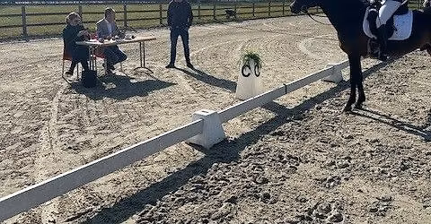 Dressuur Clinic met Dominique Rimanque