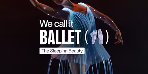 We call it Ballet: Doornroosje, de dans- en lichtshow!