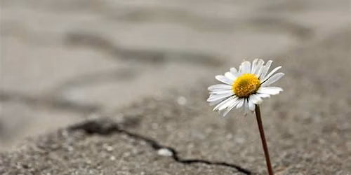 17th Annual Grief Education Seminar - Finding Hope in Grief and Loss