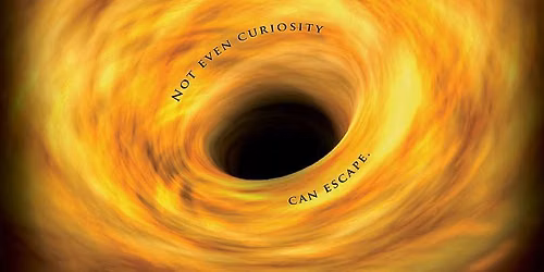 Black Holes