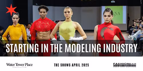 FashionBar - Starting in the Model Industry [November Edition #2]