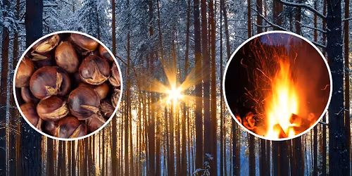 Woodland Winter Solstice