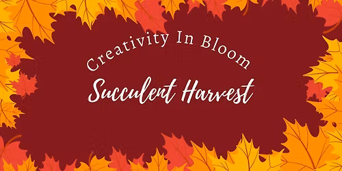 Creative In Bloom: Succulent Harvest