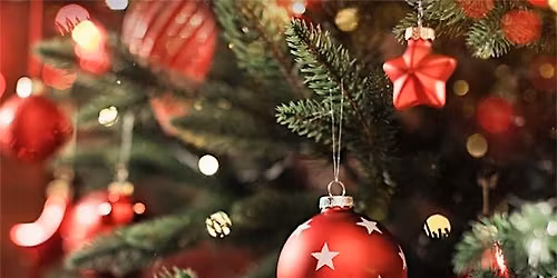 Christmas with Tralea Lens Photography