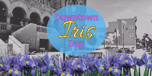 Downtown Iris Day!