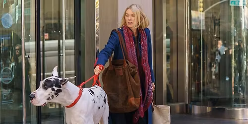 Cheddon & West Monkton Community Film Club - The Friend (2025) Rated 15