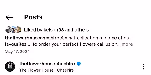 WedVault Wedding Fair Spring 2026