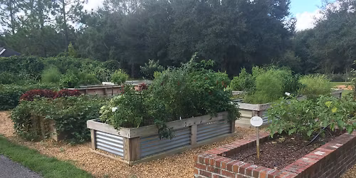 12-3-2025  How To Build A Raised Bed Garden