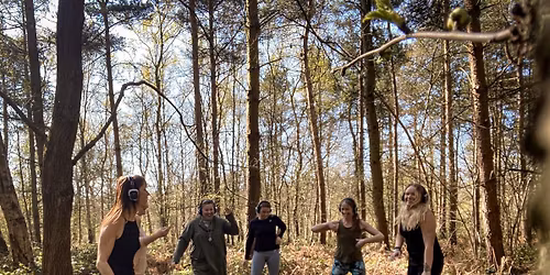 Dans og bev\u00e6gelse i skoven