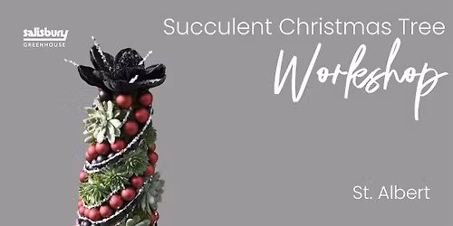 Succulent Christmas Tree | Workshop | Salisbury at Enjoy | St. Albert