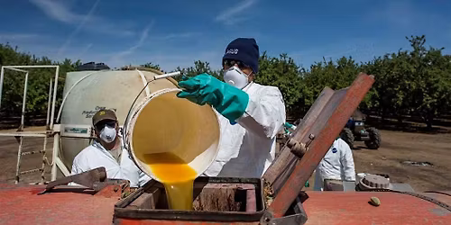 Worker Protection Standard Pesticide Handler Training (Spanish In-Person )