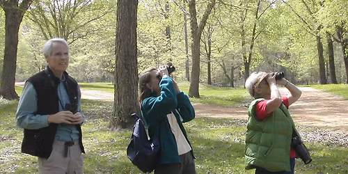 Celebrate World Migratory Bird Day 