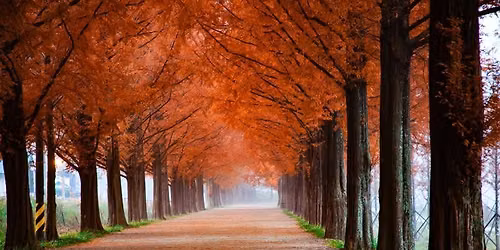 Colors of Autumn