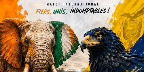 FIFA WORLD CUP Cote D'ivoire vs Ecuador