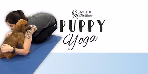 Puppy Yoga\ud83d\udc3e