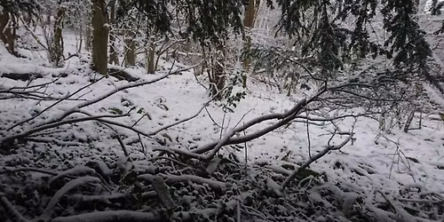 Winter Woods Bushcraft Day 13 February