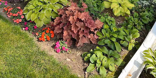 Lakehaven Garden and Outdoor Living Show