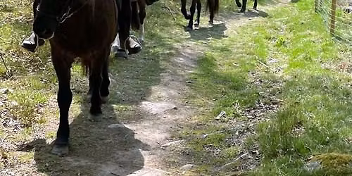 \u00c5rets f\u00f6rsta medlemsritt p\u00e5 Islandsh\u00e4sten dag den 1 maj