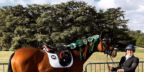 Freshen up and focus your Flatwork clinic