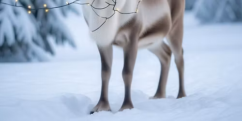 A flying visit from someone special