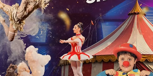 THE SHINE CIRCUS SHOW - Gala 2026 Shine Acad\u00e9mie