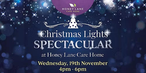 Christmas Lights Spectacular at Honey Lane