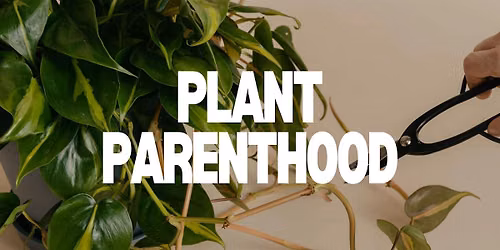 Plant Parenthood w\/ Jeff Kushner