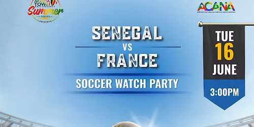 Soccer World Cup Watch Party: Senegal vs. France