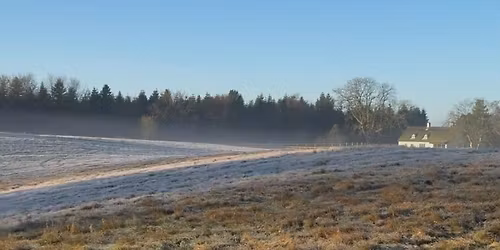 Bioblitz p\u00e5 Buskehuse, Liller\u00f8d