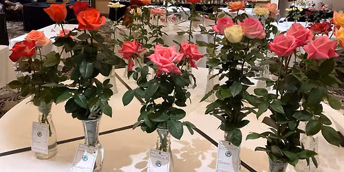 Deep South District Fall Conference & Rose Show