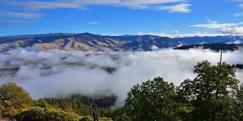 Ashland Independent Film Festival Family Screening Event