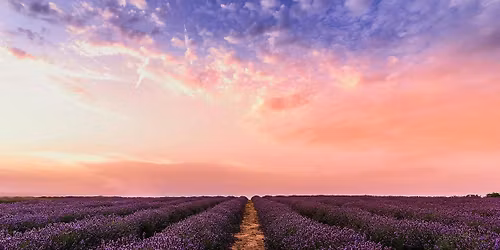 A Quiet Monday Morning with Jane Baker