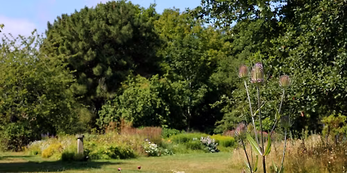 Artists in Conversation: Lauren Gault and Desiree Coral