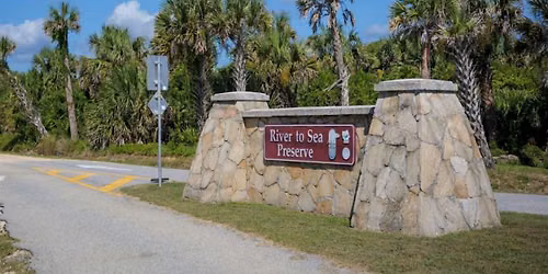 Birding the River to Sea Preserve