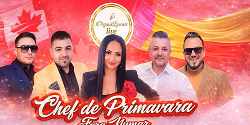 Chef de Primavara Fara Numar