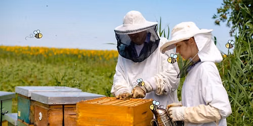 Bee Adventures: Meet a Beekeeper - Ages 5+