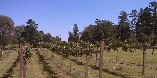 Grape and Blueberry Pruning Demonstration